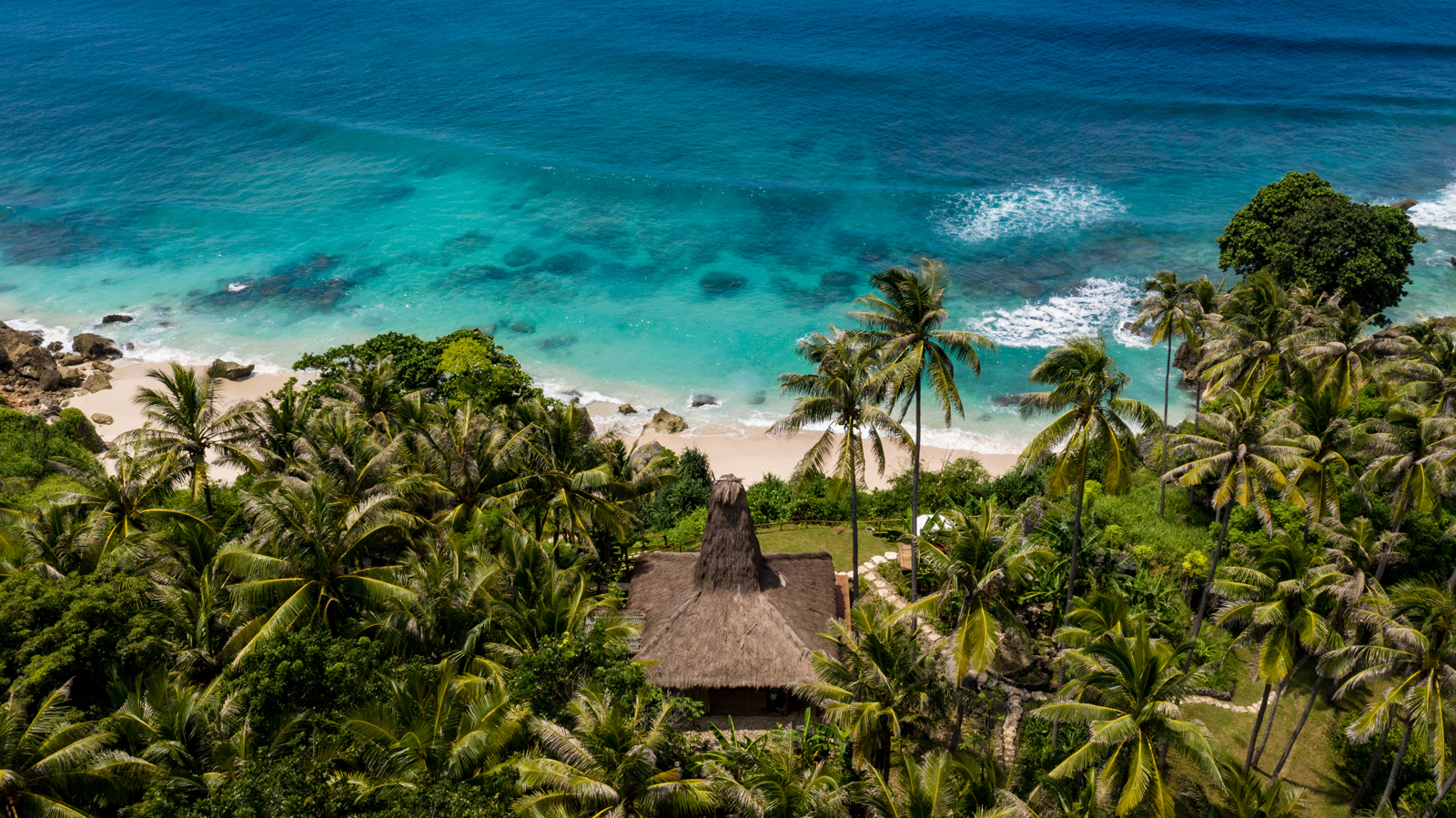 A stunning aerial view of a lush tropical coastline featuring palm trees, a traditional thatched-roof bungalow, and vibrant turquoise ocean waters with white sandy beach.