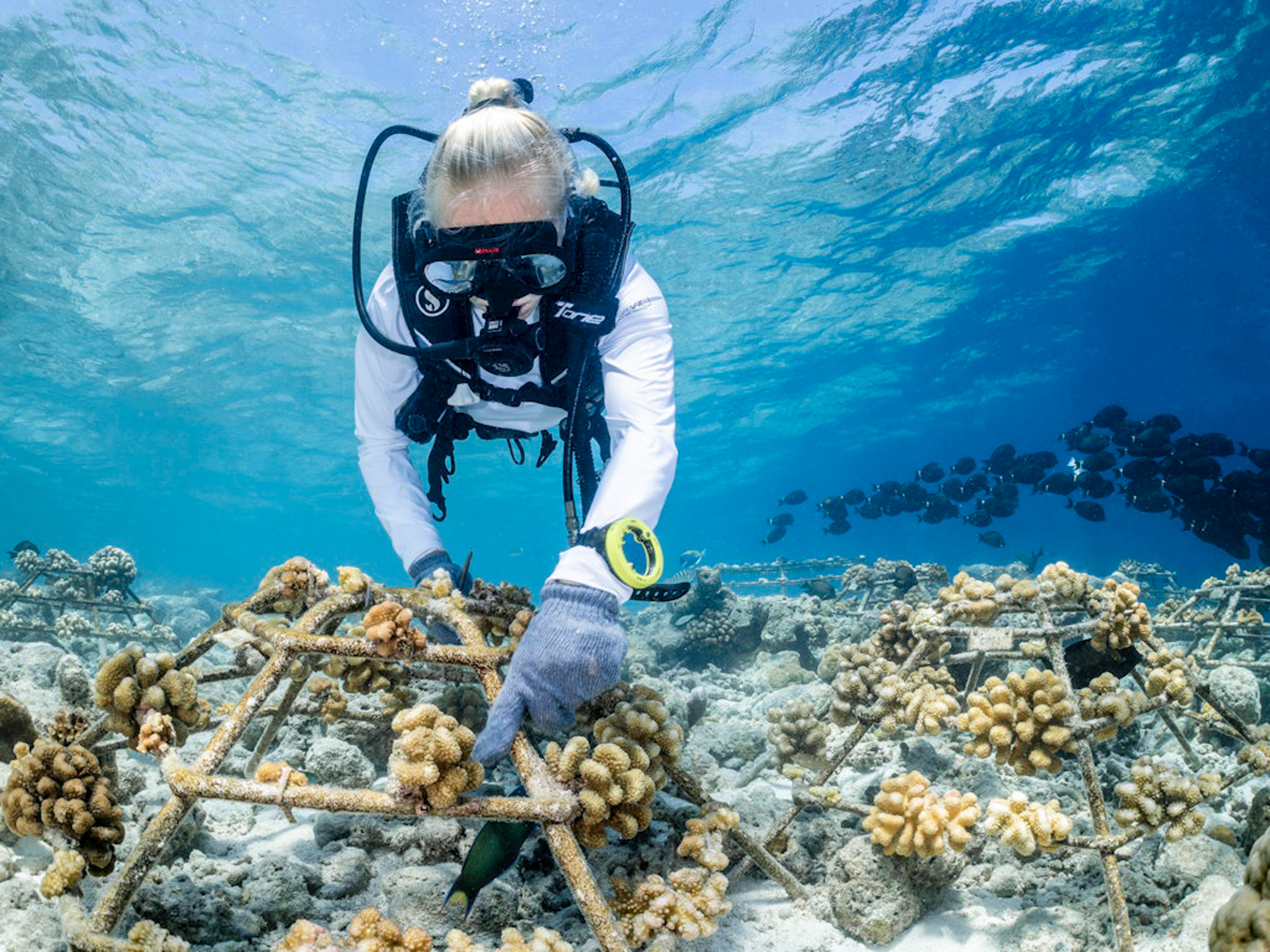 Marine wellness and snorkelling experience at COMO Cocoa Island Maldives