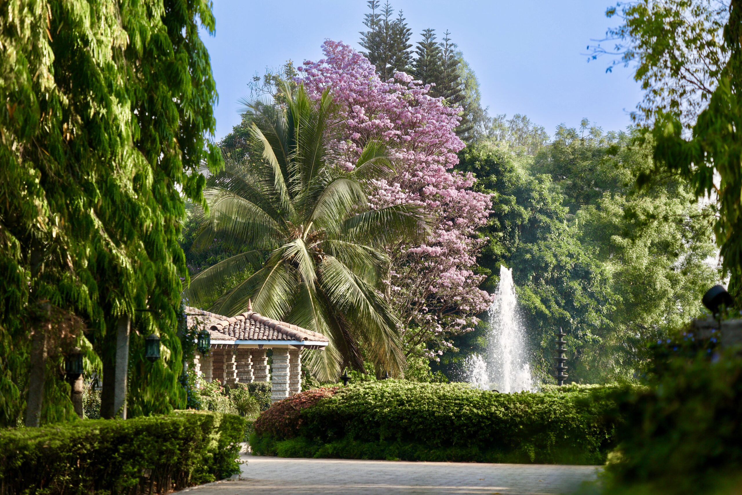 A lush landscaped garden featuring a stone structure, palm tree, vibrant pink flowering tree, and a central water fountain. The scene is framed by green trees and a clear blue sky.