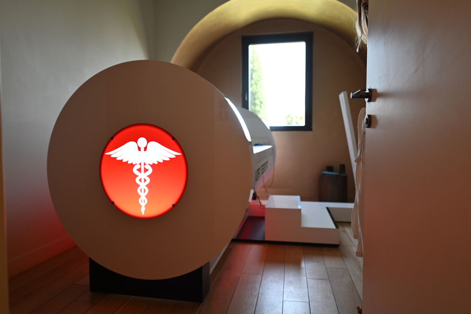 human-regenerator-2 human regenerator 2.jpg